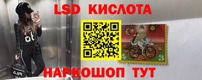 spice Малоярославец