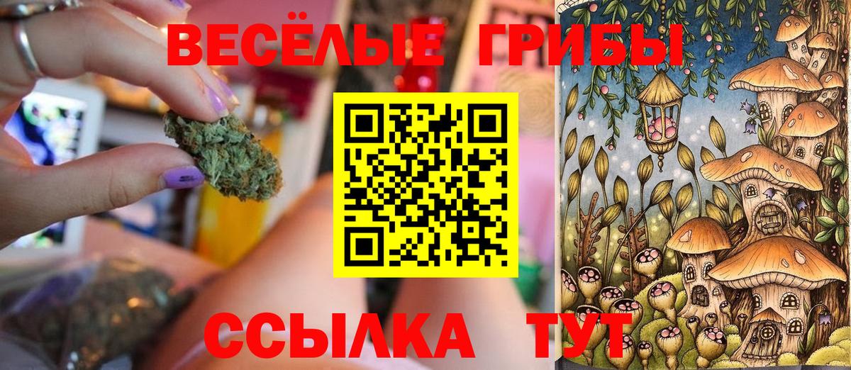 Железноводск  Галлюциногенные грибы GOLDEN TEACHER  Вход с VPN 